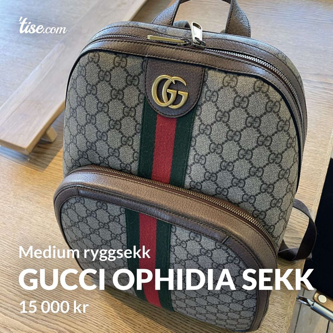 Gucci Ophidia sekk