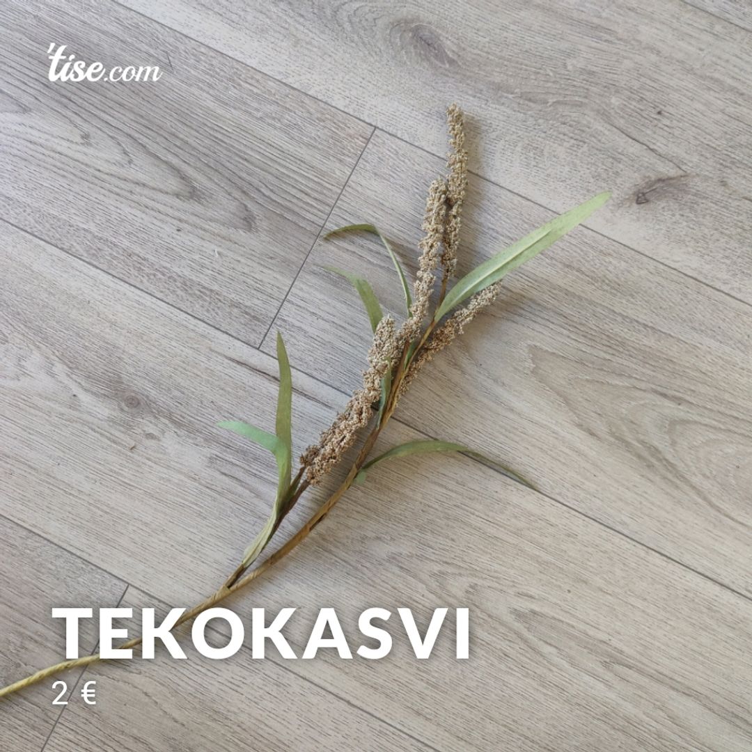 Tekokasvi