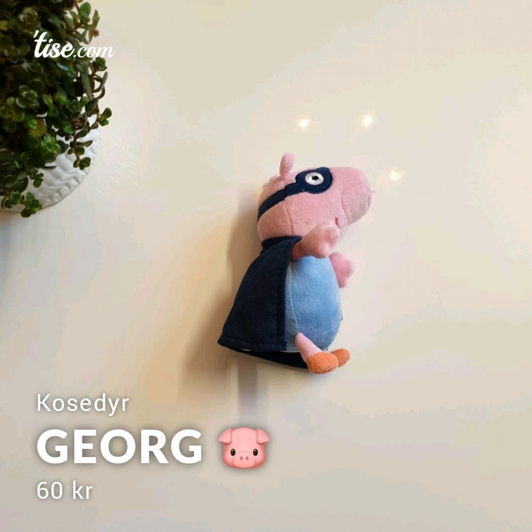 Georg 🐷