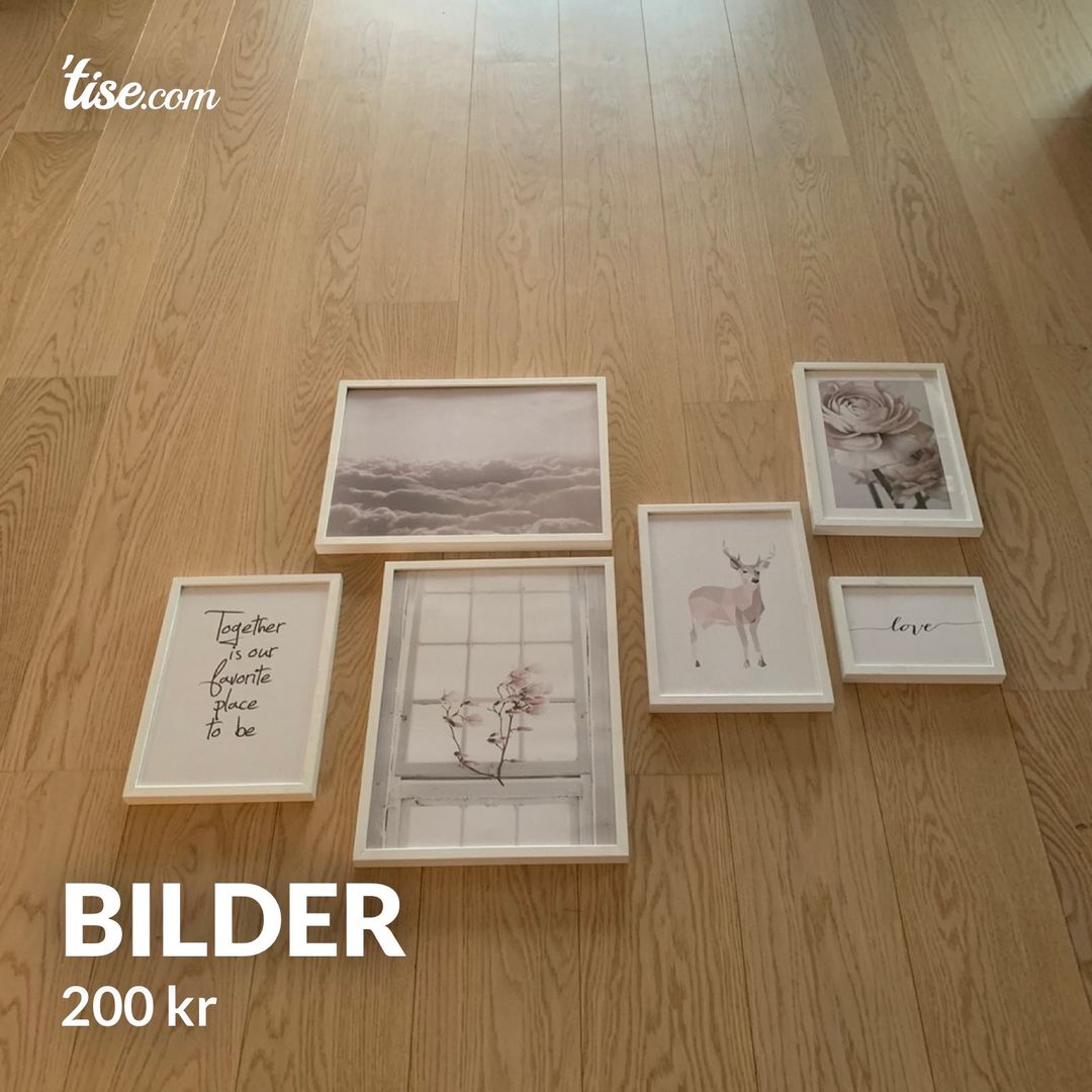 Bilder