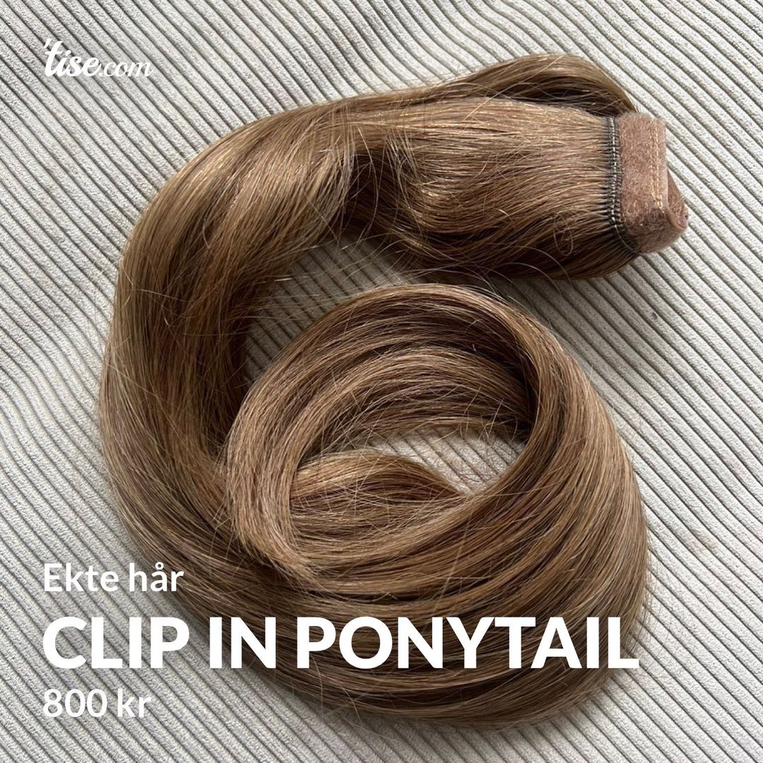 Clip in ponytail