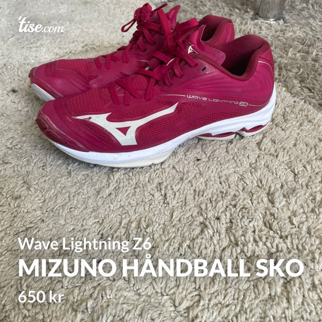 Mizuno håndball sko