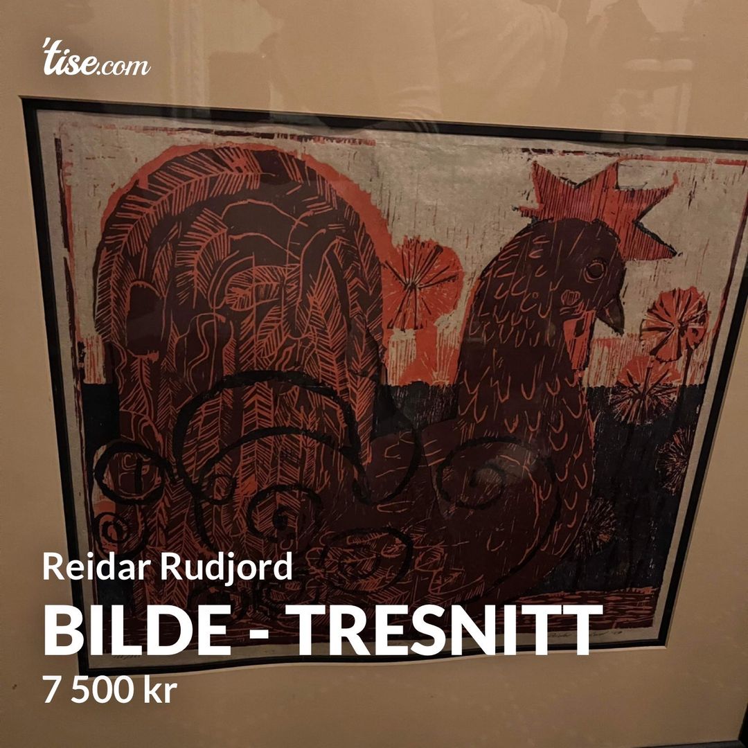 Bilde - tresnitt