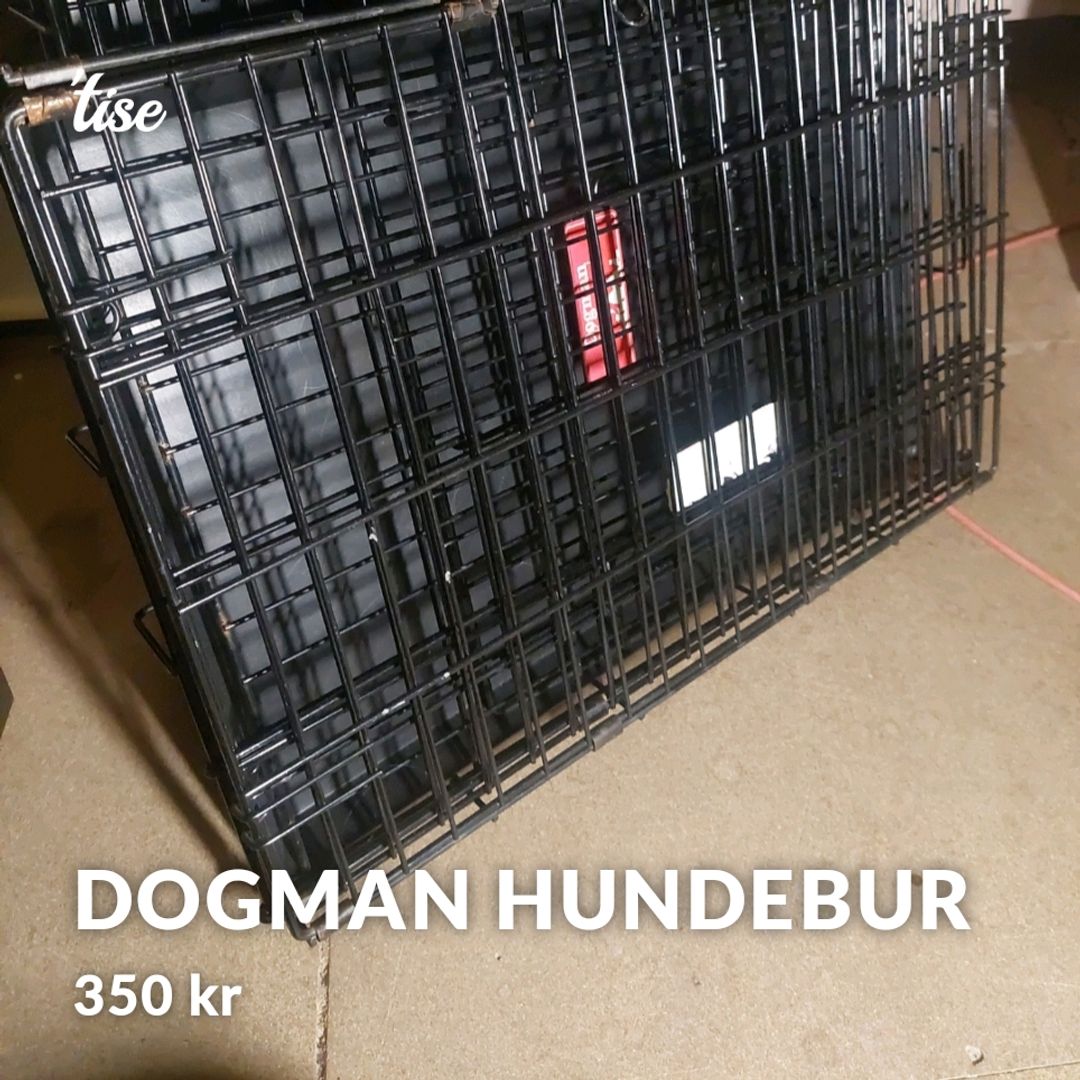 Dogman Hundebur