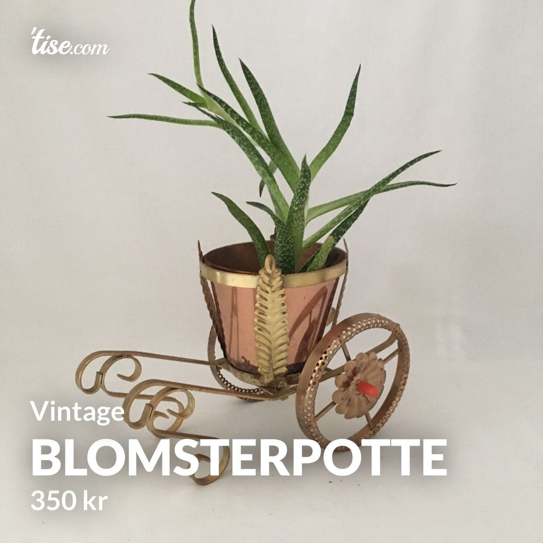 Blomsterpotte