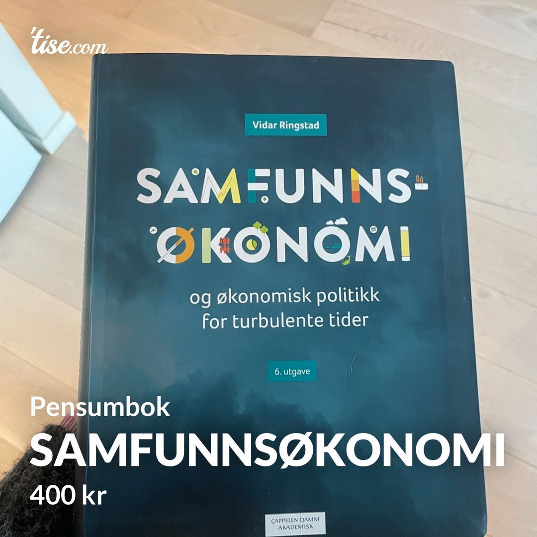 Samfunnsøkonomi