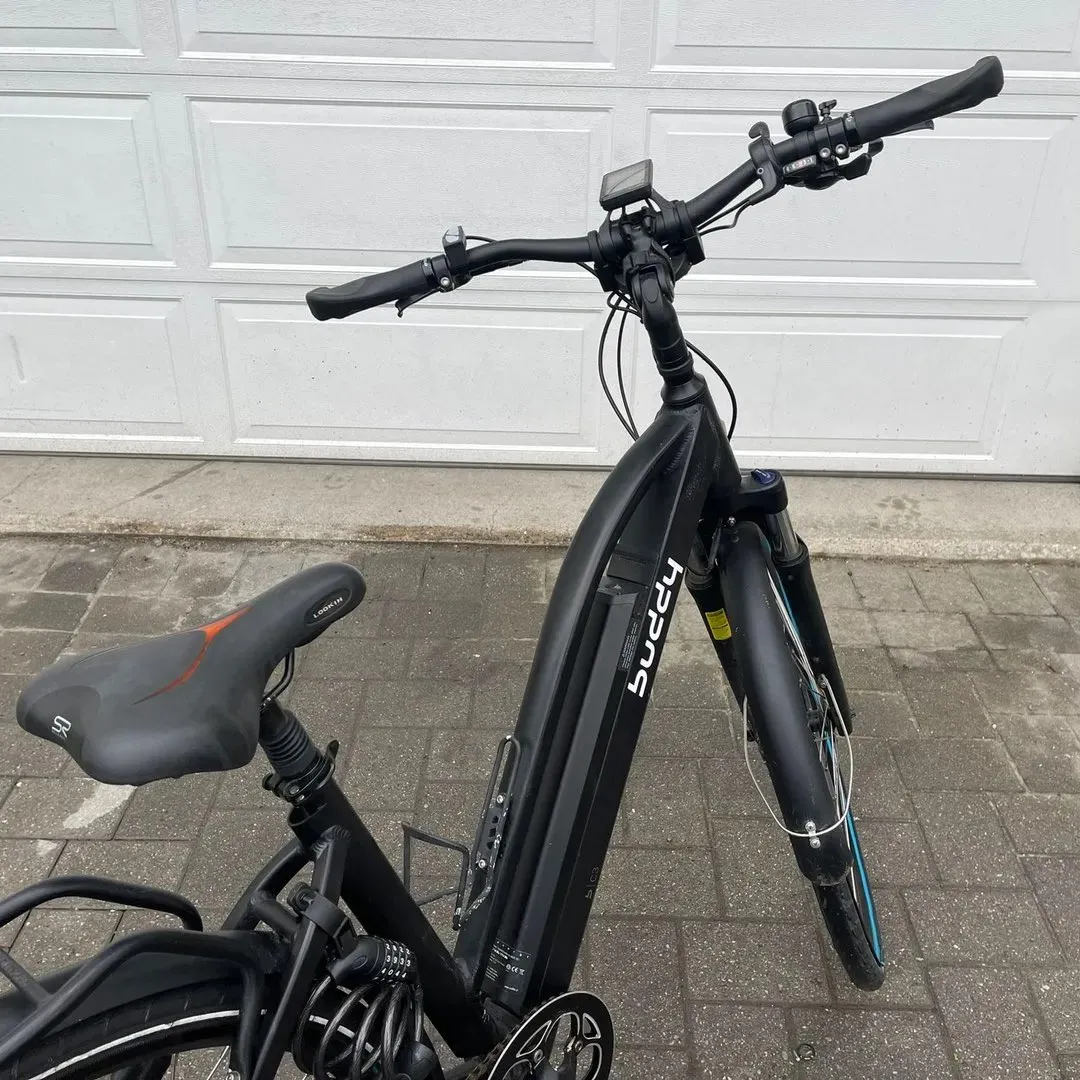 BUDDY BIKE C3