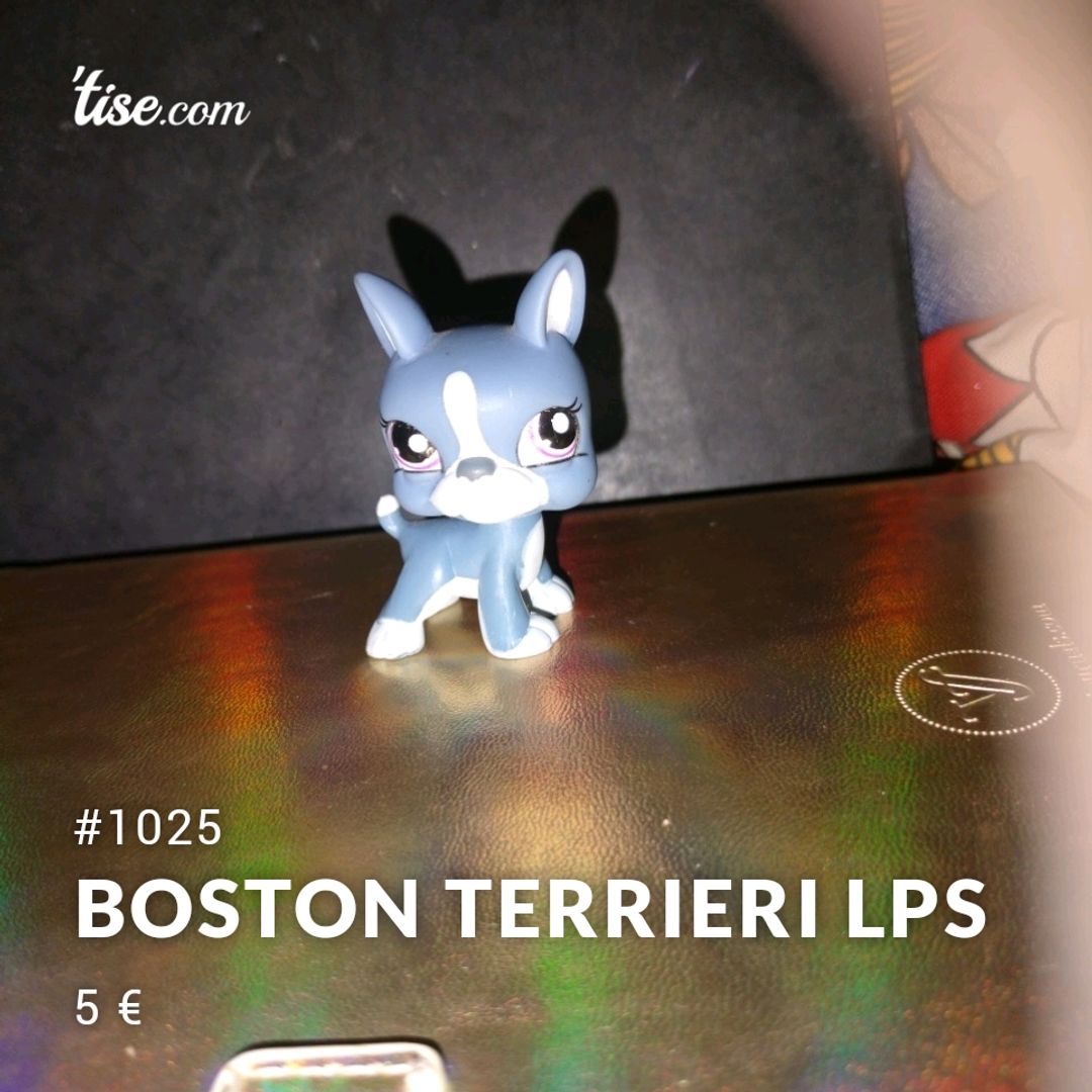 Boston Terrieri Lps