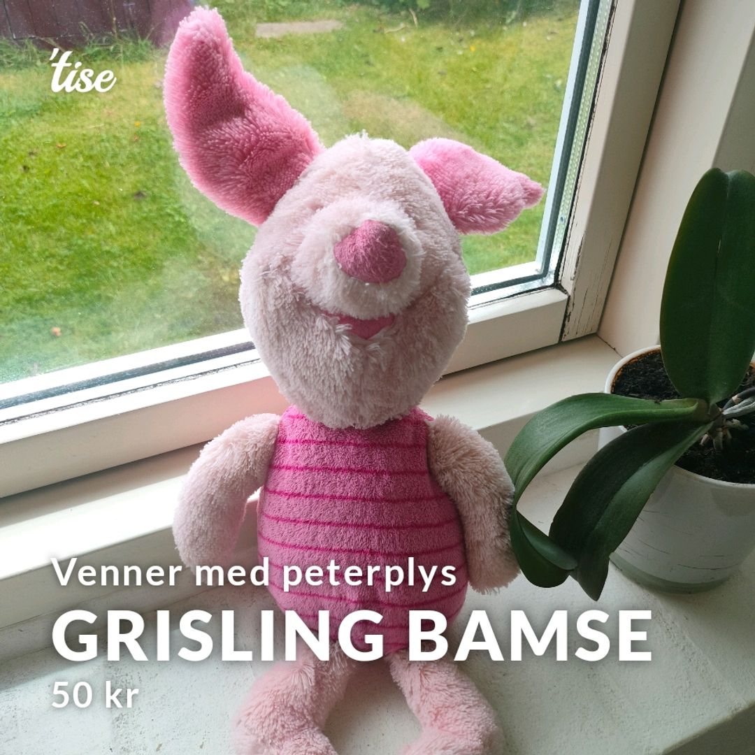 Grisling Bamse