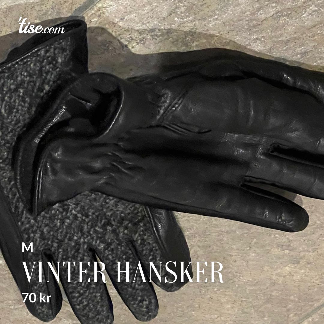 Vinter hansker