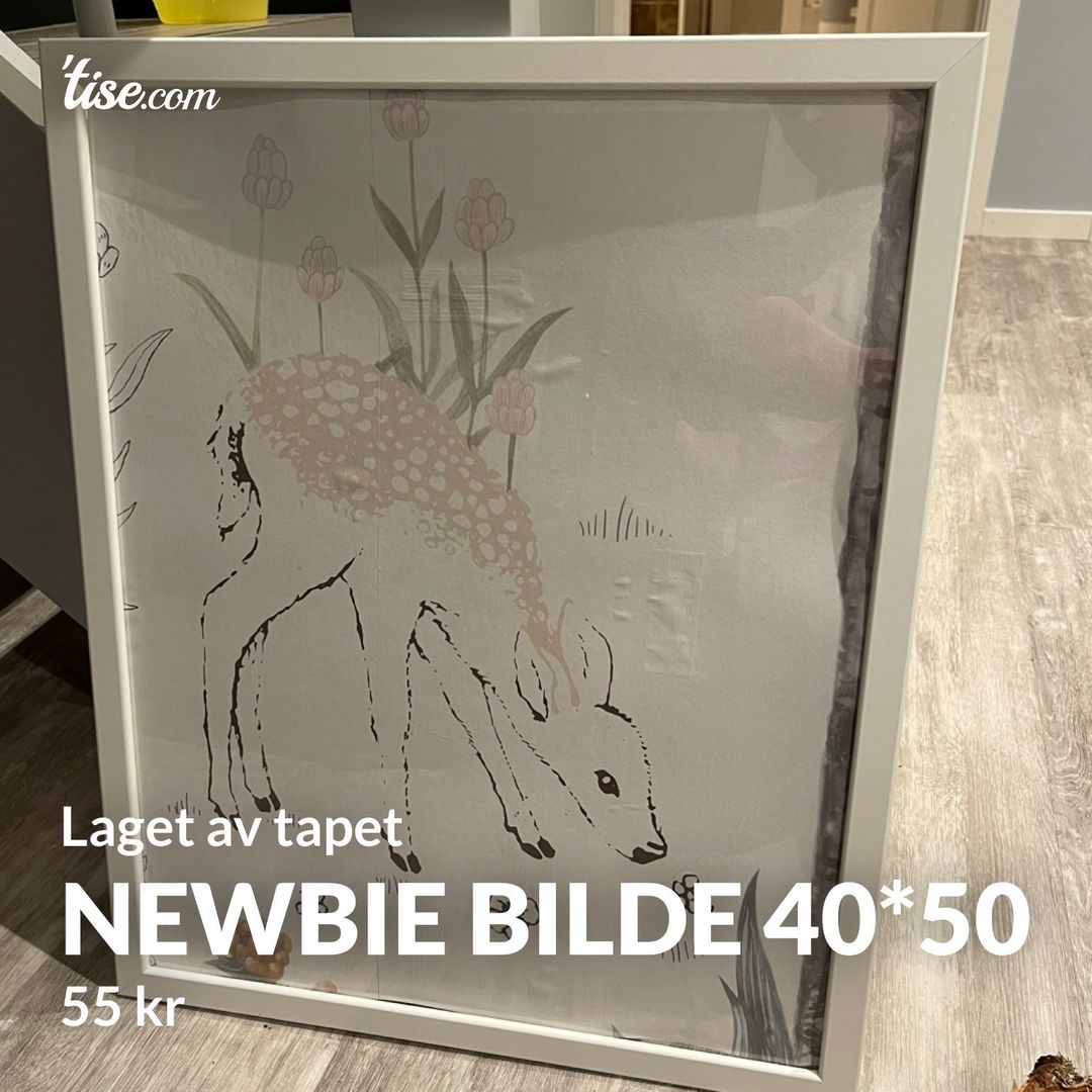 Newbie bilde 40*50