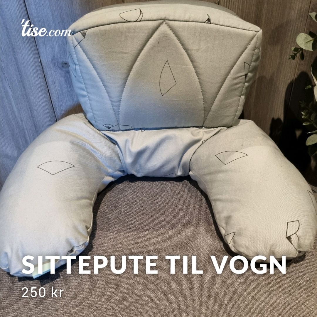 Sittepute Til Vogn