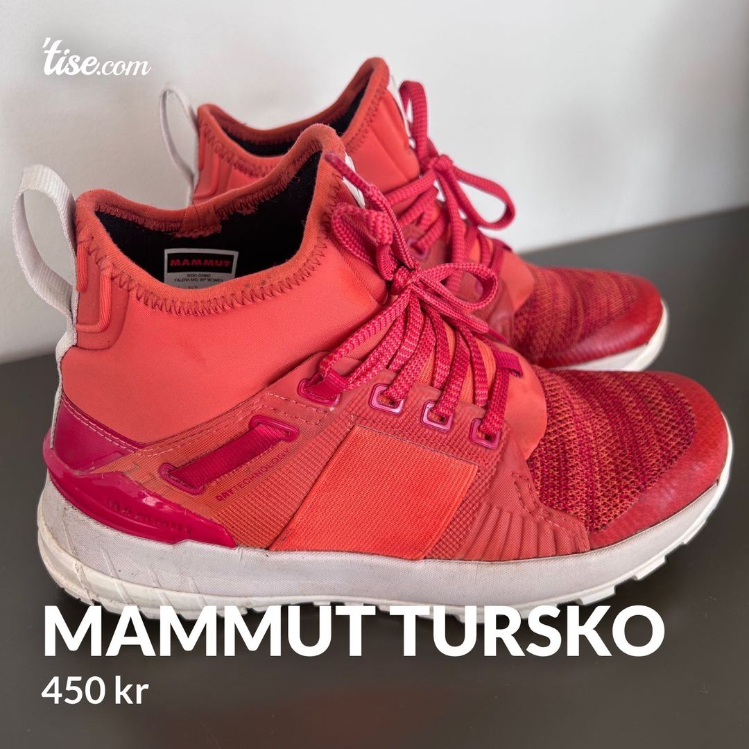 Mammut tursko