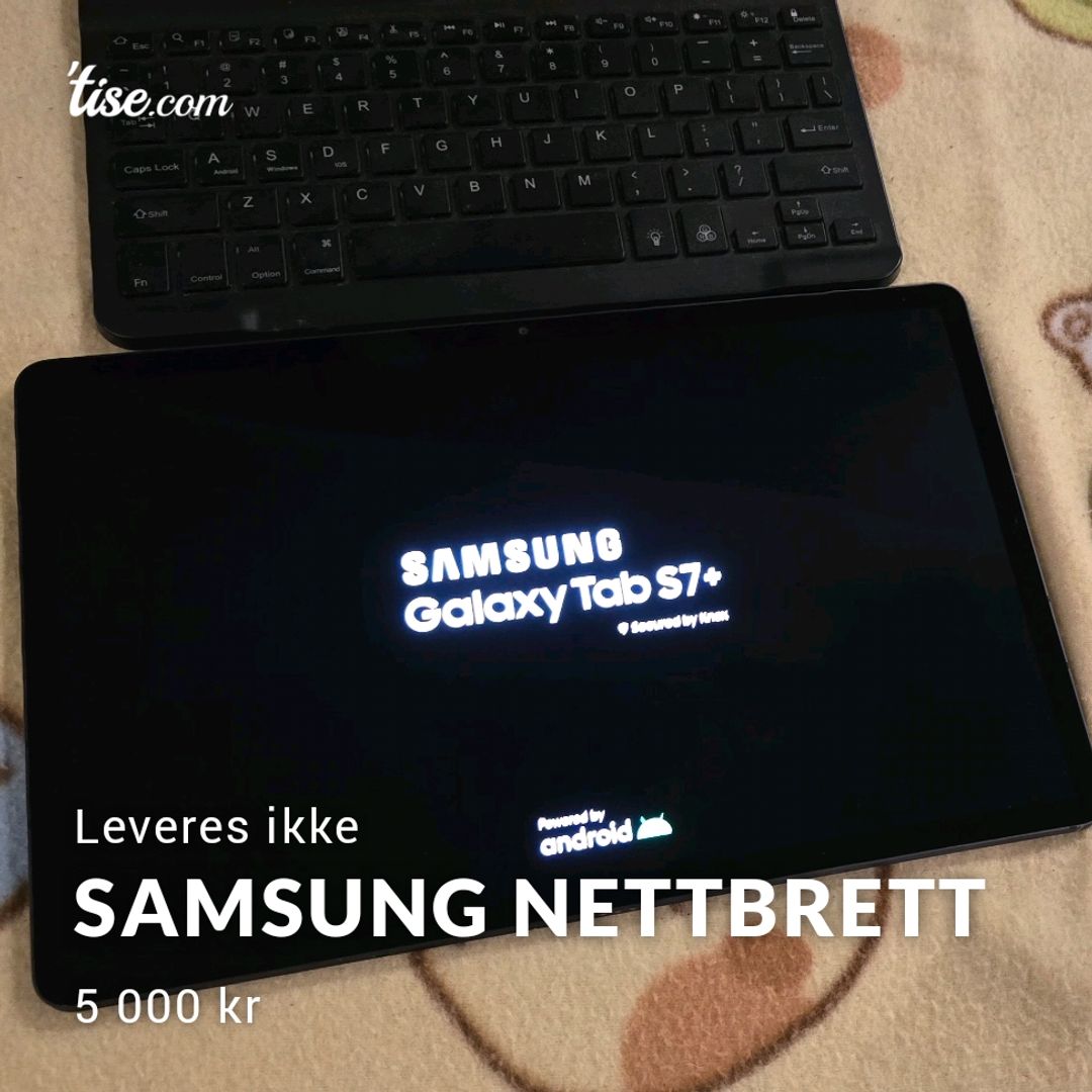 SAMSUNG Nettbrett