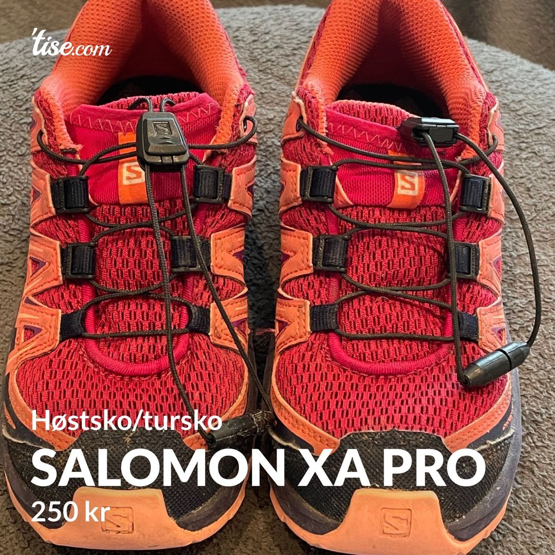 Salomon XA Pro