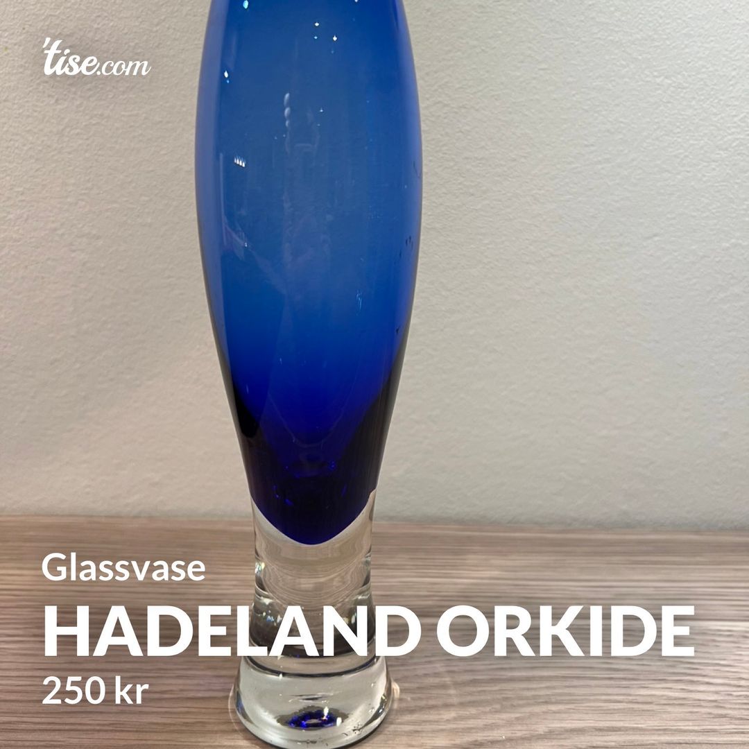 Hadeland Orkide