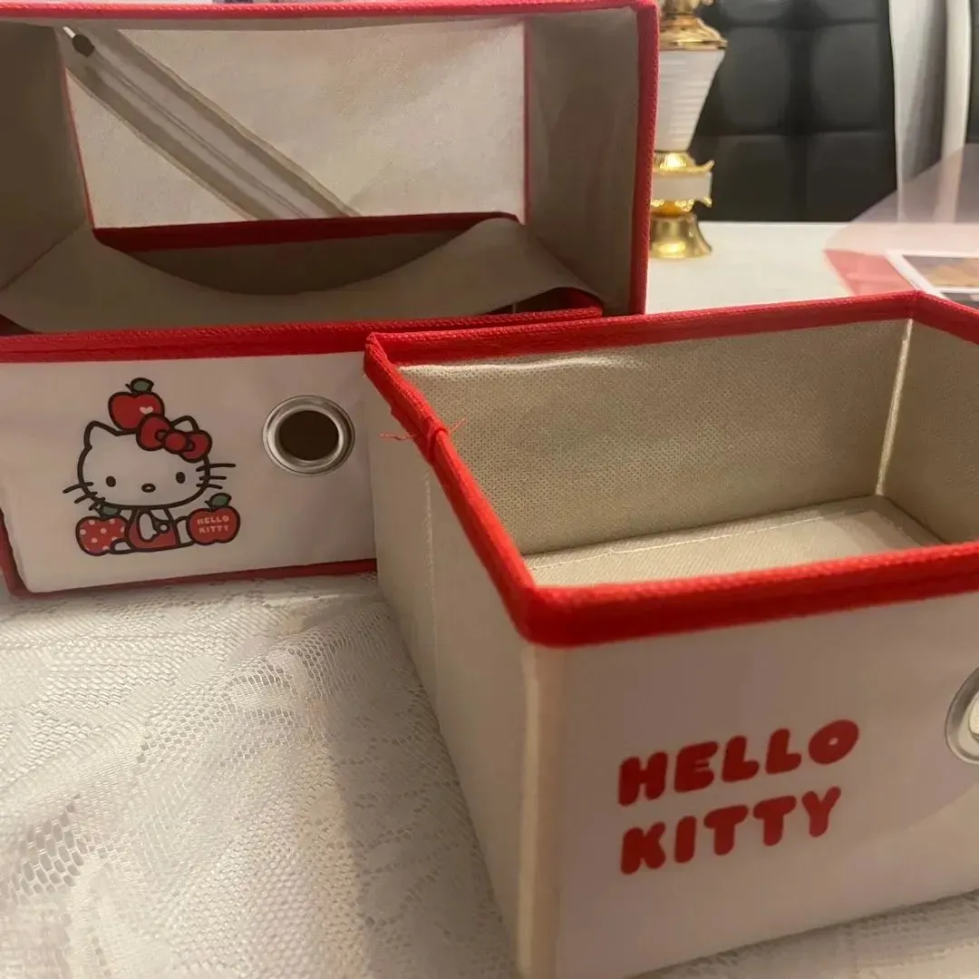 Hello Kitty Storage