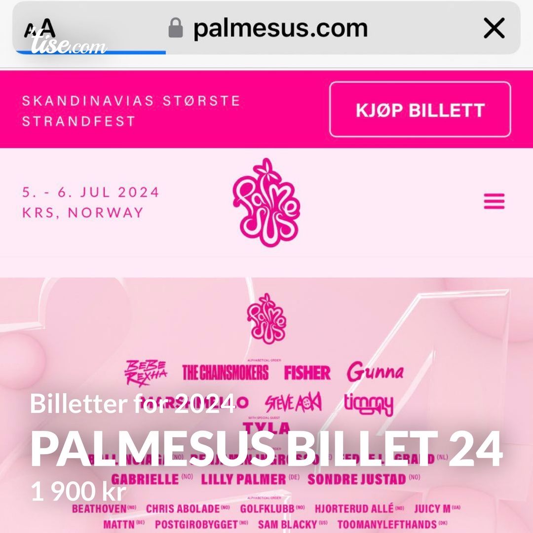 Palmesus Billet 24