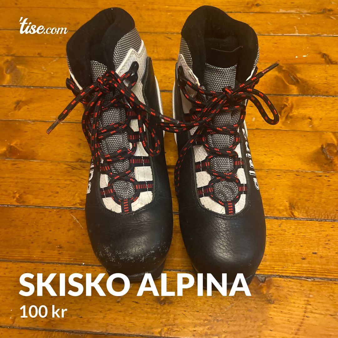 Skisko Alpina