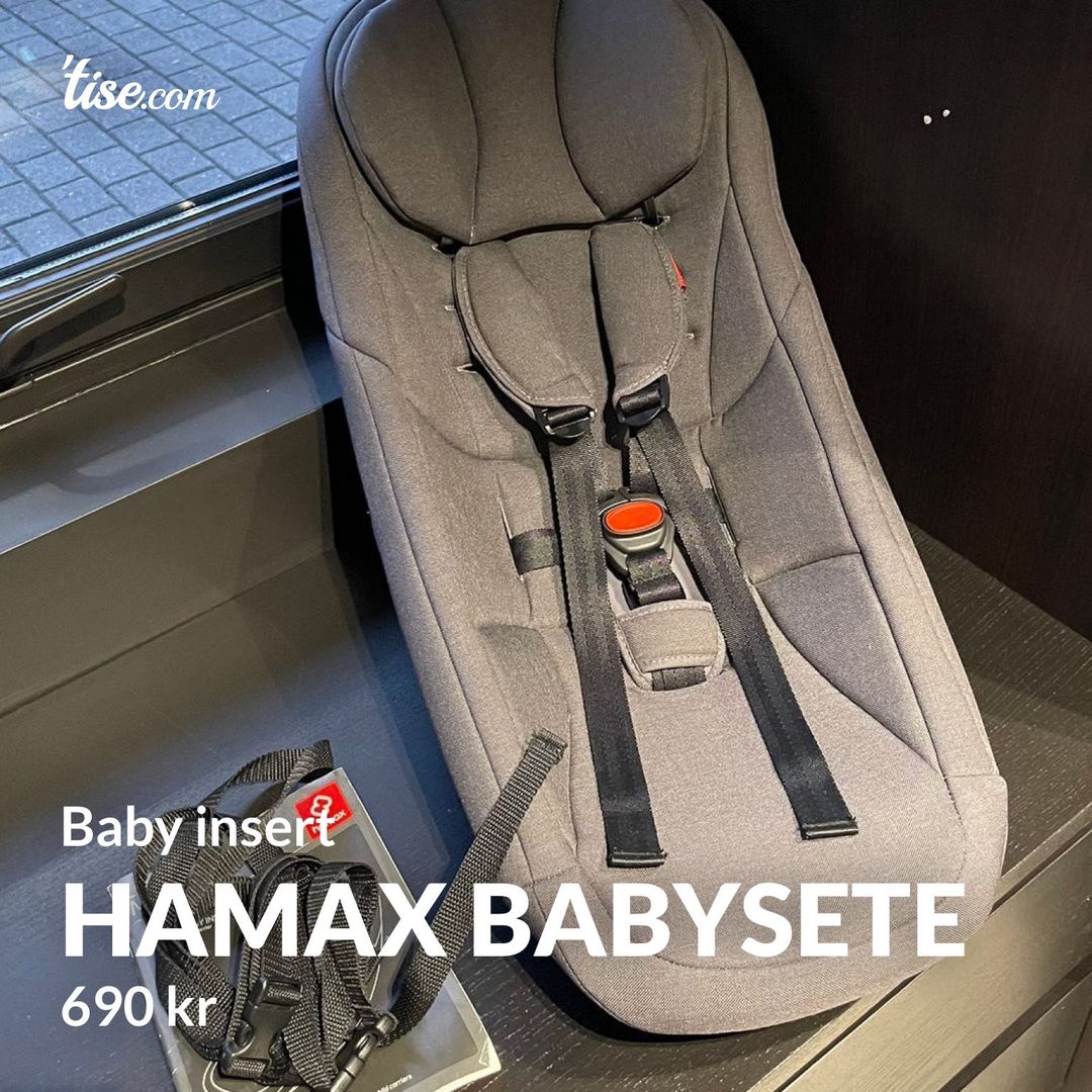 Hamax babysete