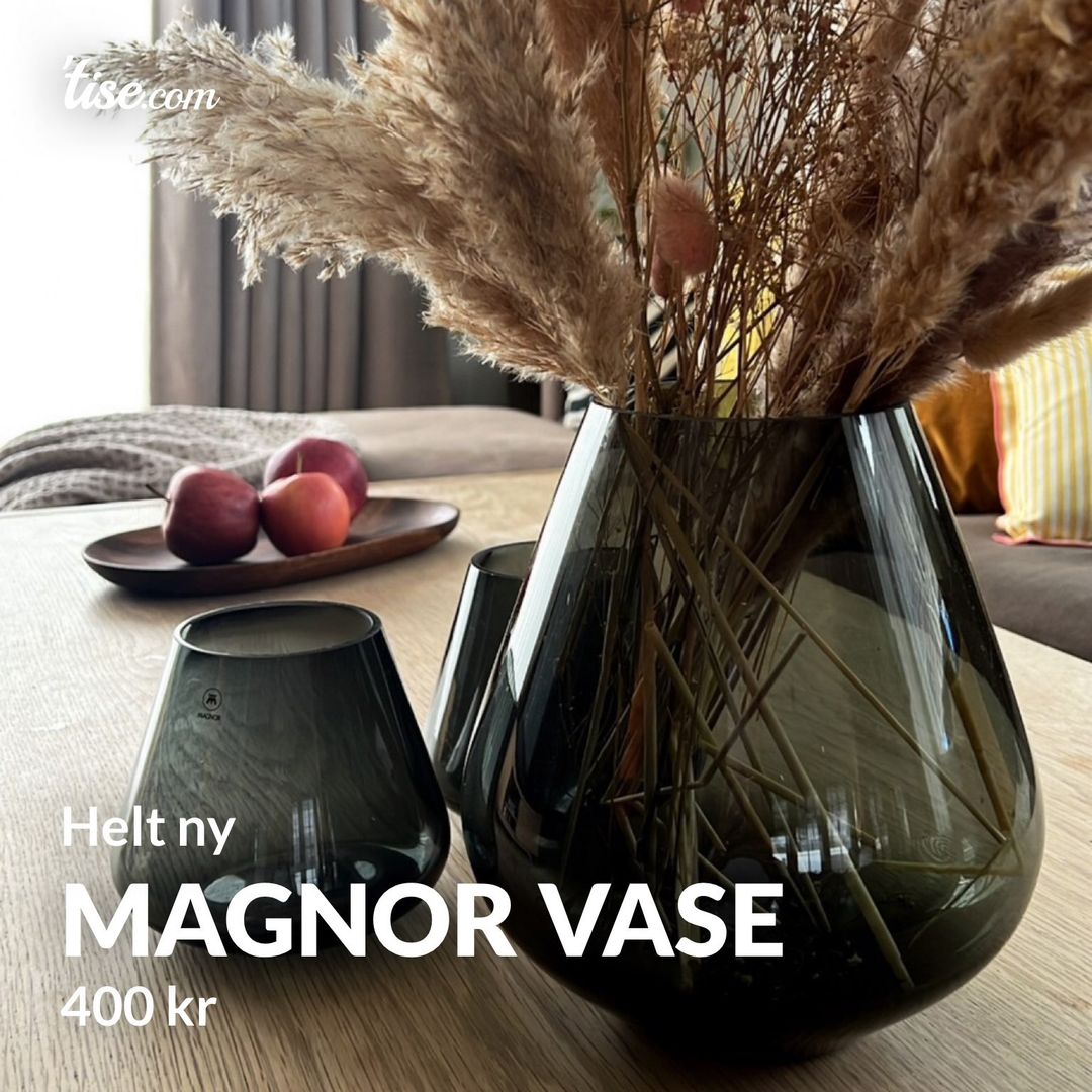 Magnor vase