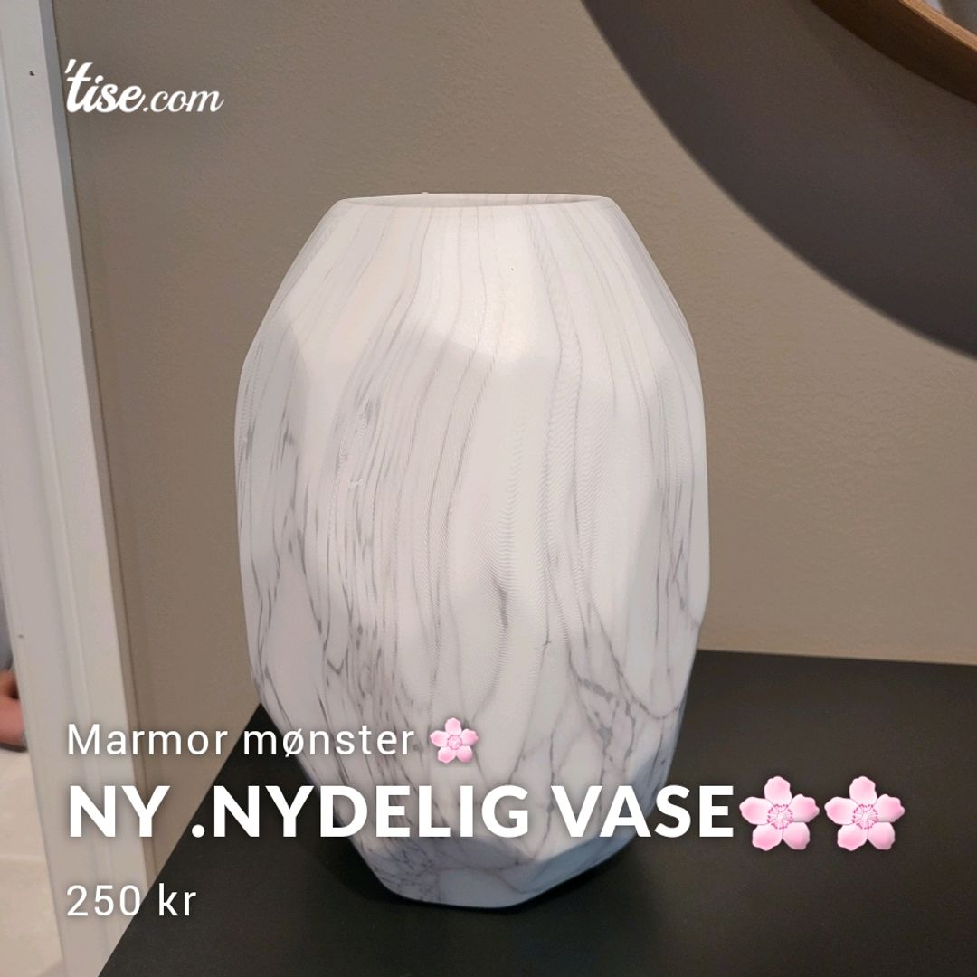 Ny Nydelig Vase🌸🌸