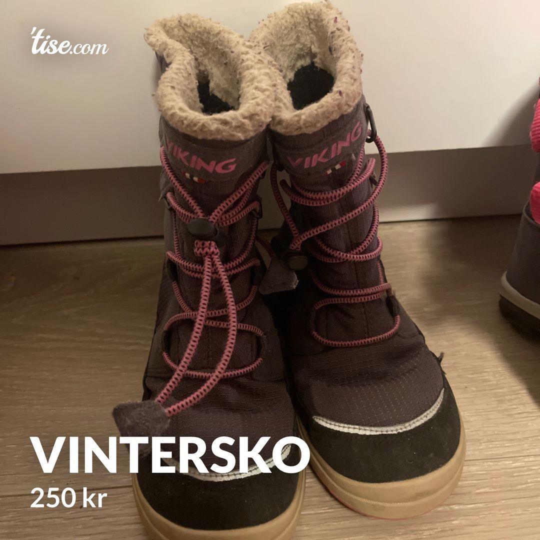 Vintersko