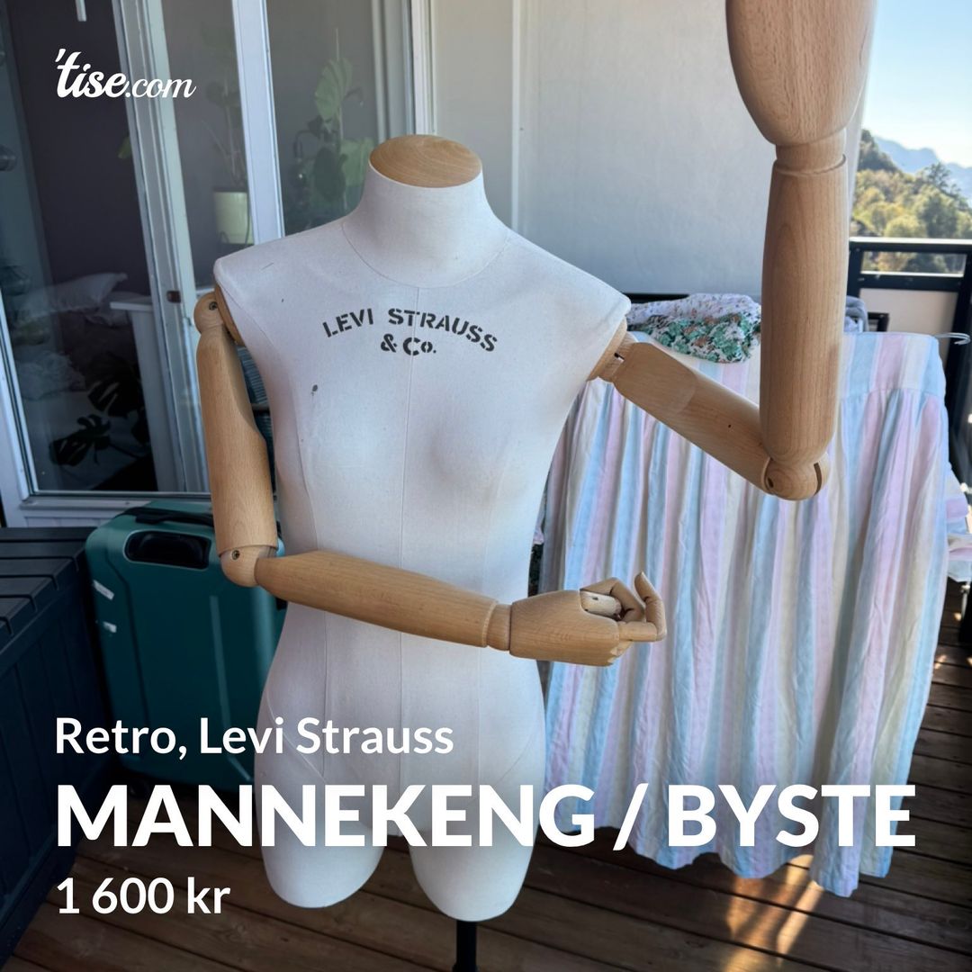 Mannekeng / byste