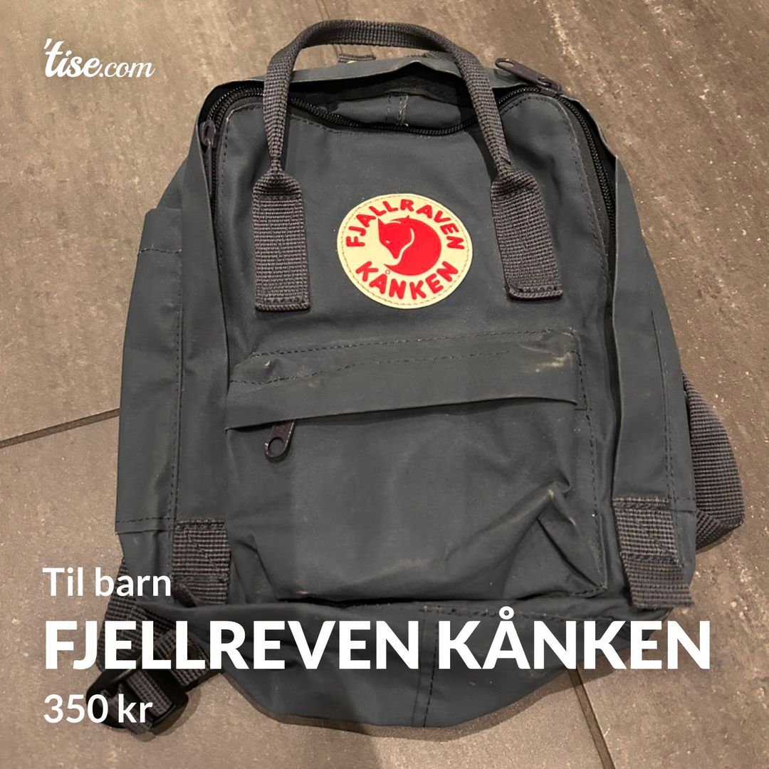 Fjellreven kånken