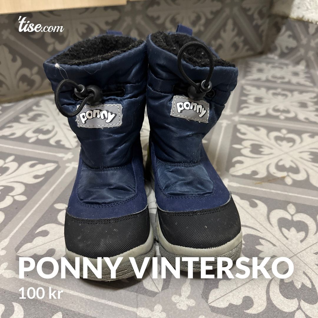 Ponny vintersko