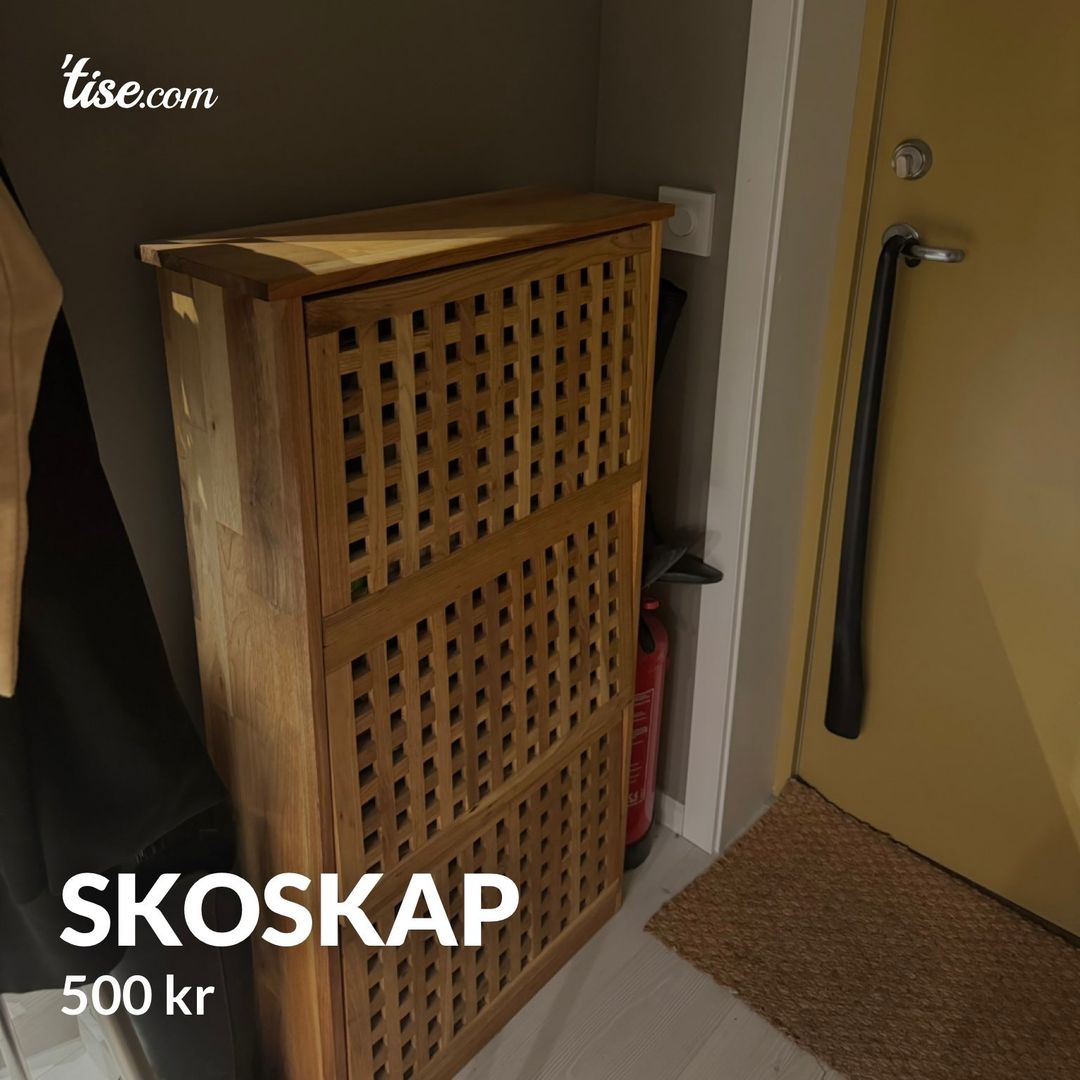 Skoskap