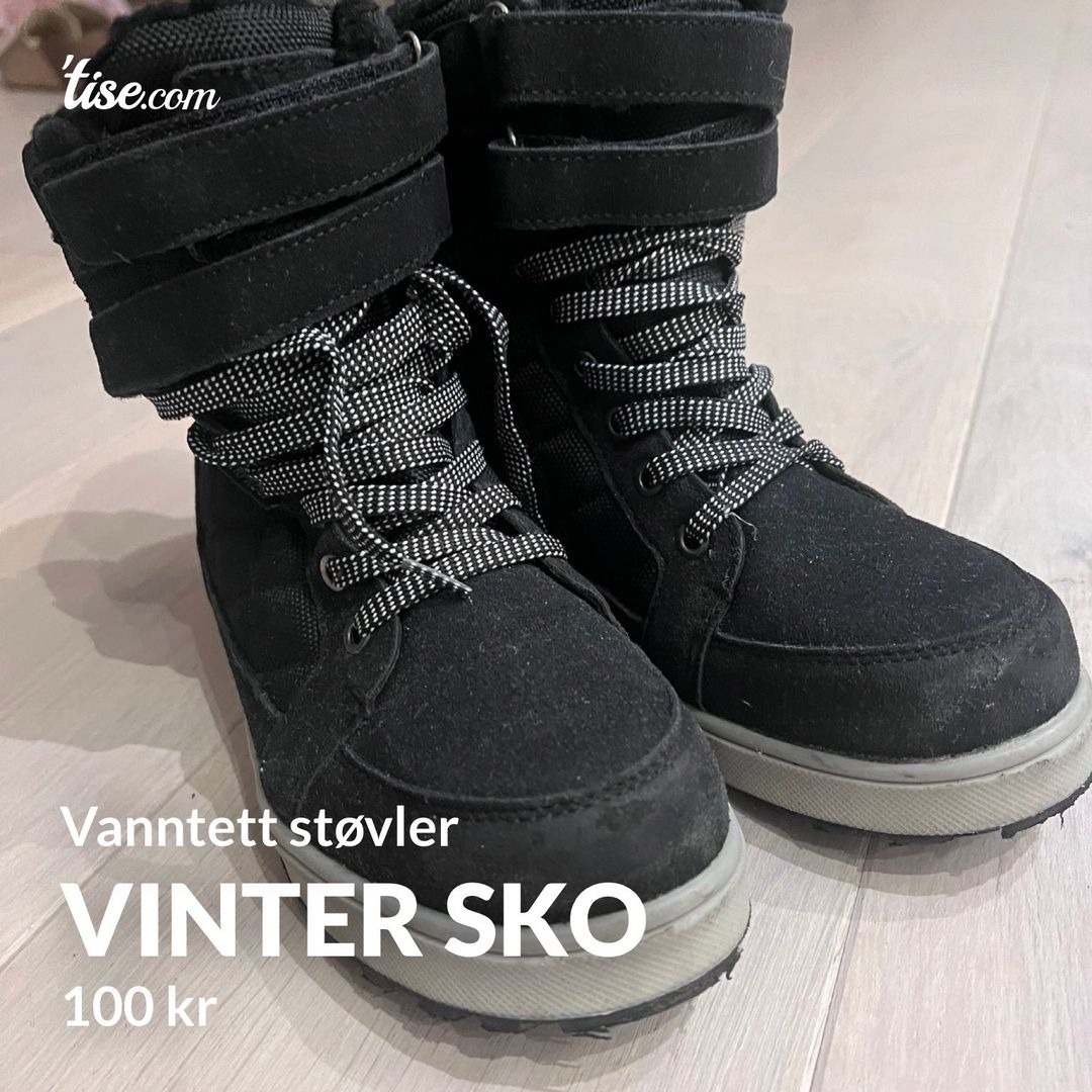 Vinter sko