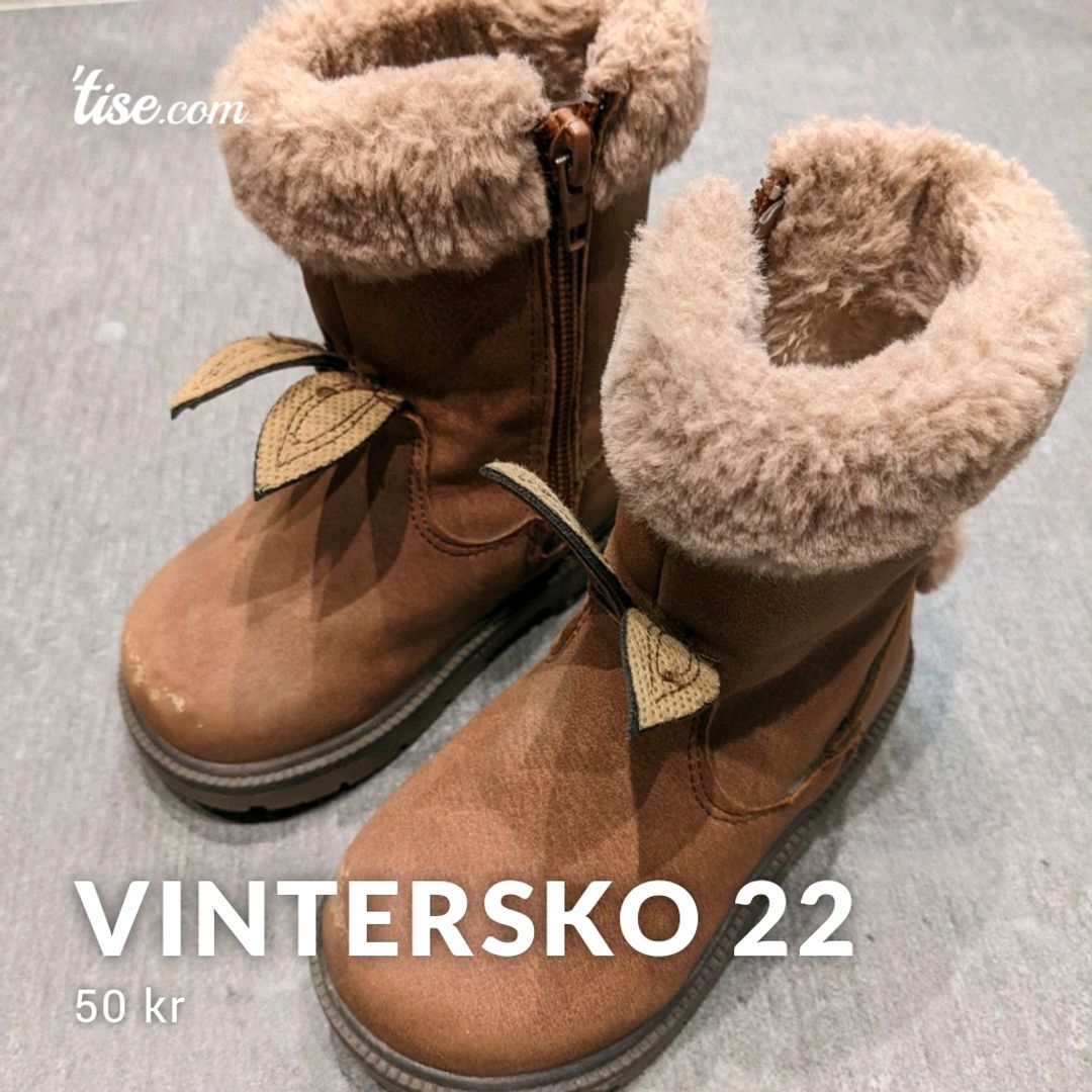 Vintersko 22