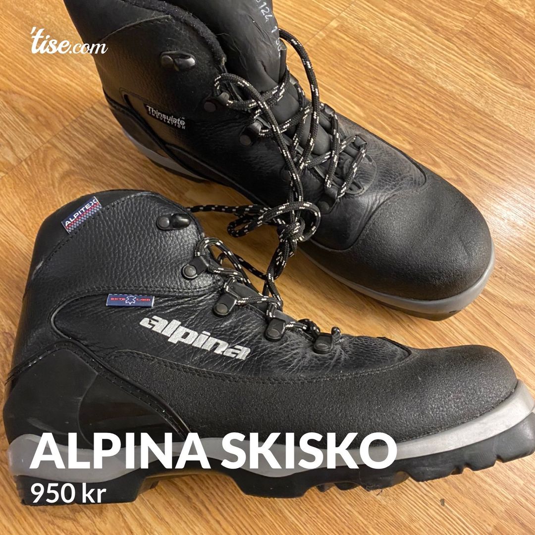 Alpina skisko