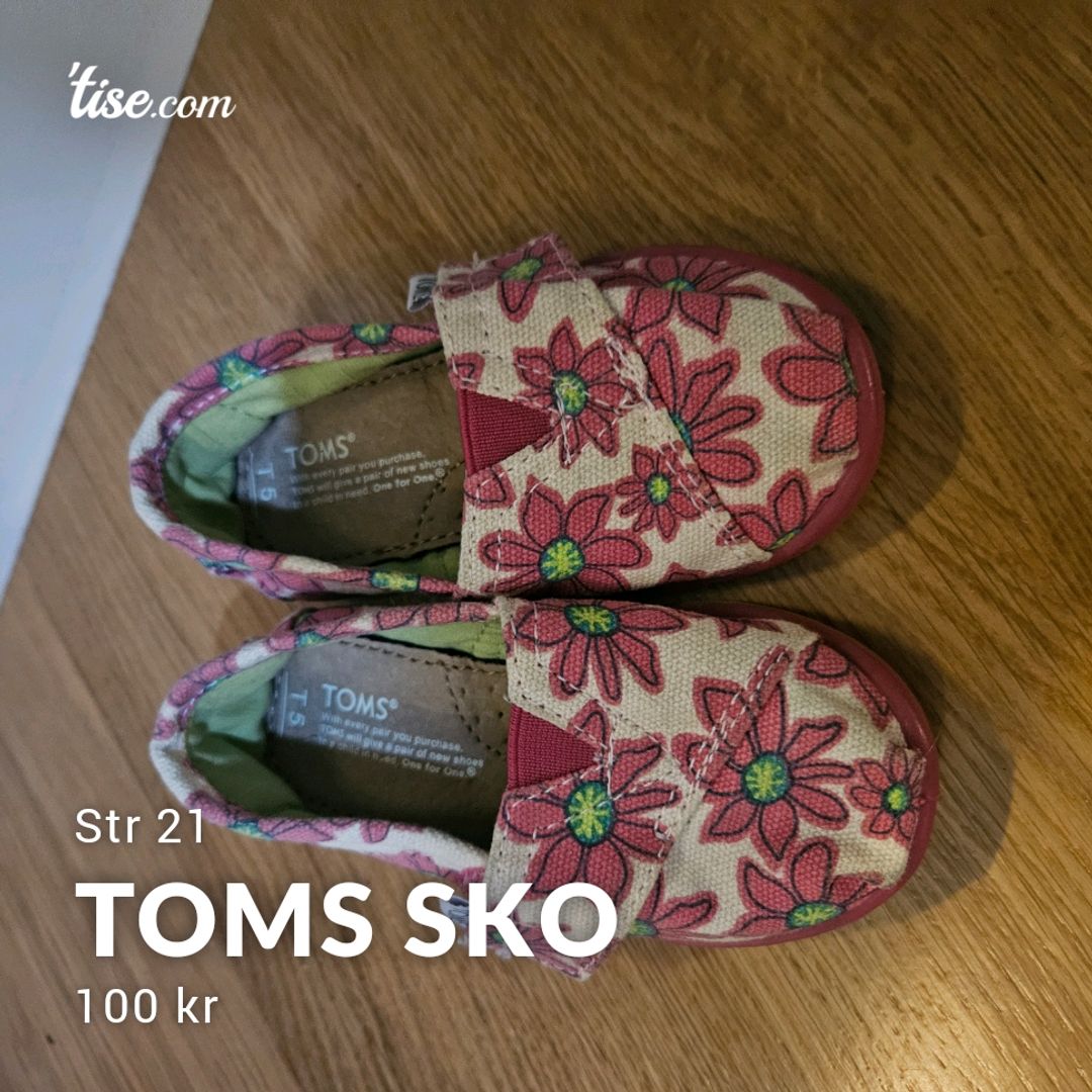 Toms Sko