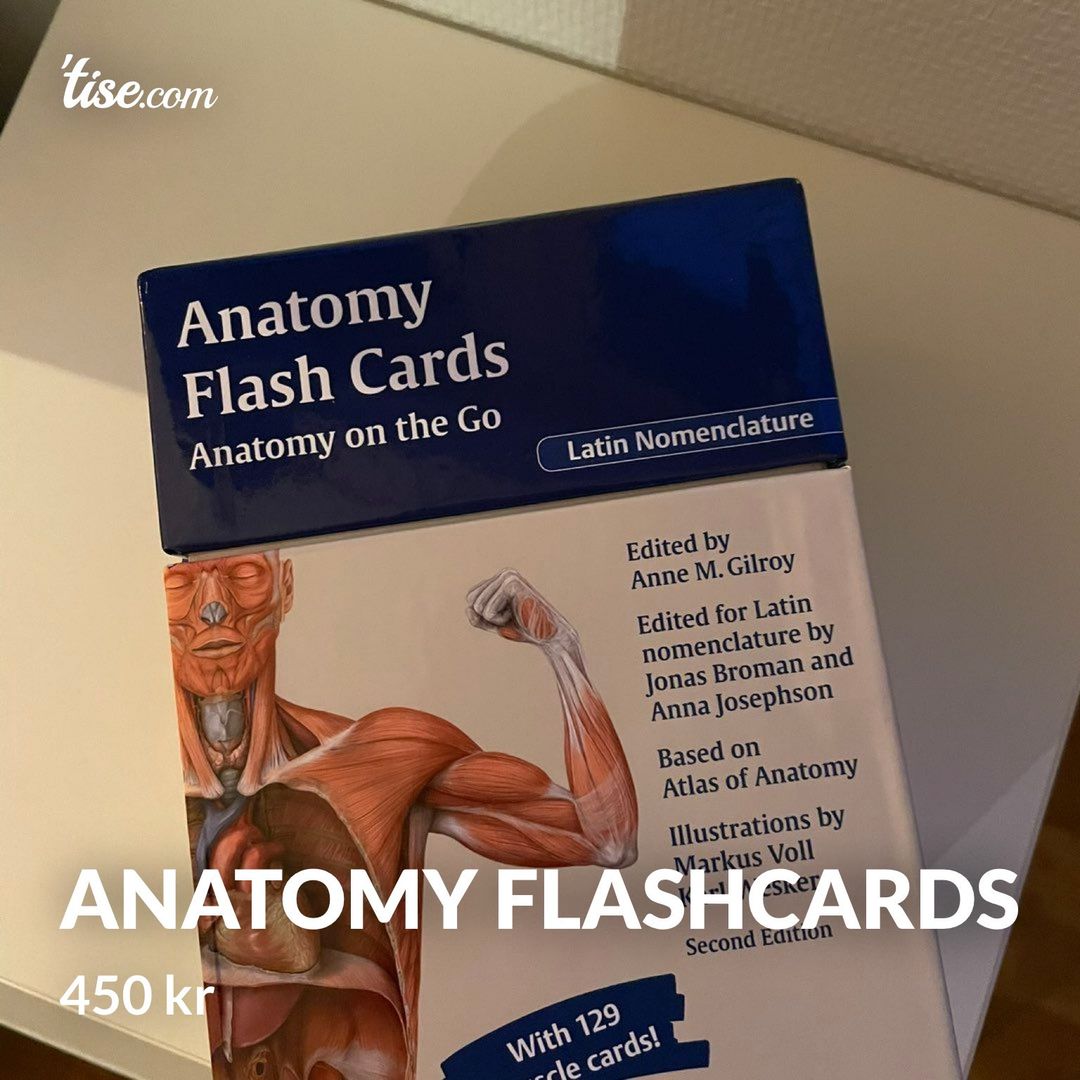 Anatomy flashcards