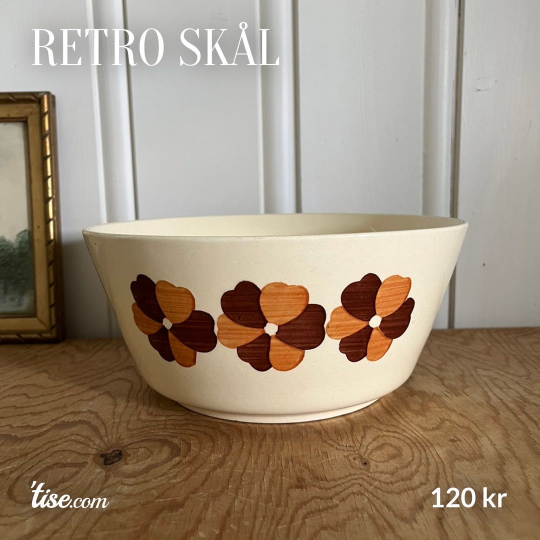 Retro skål