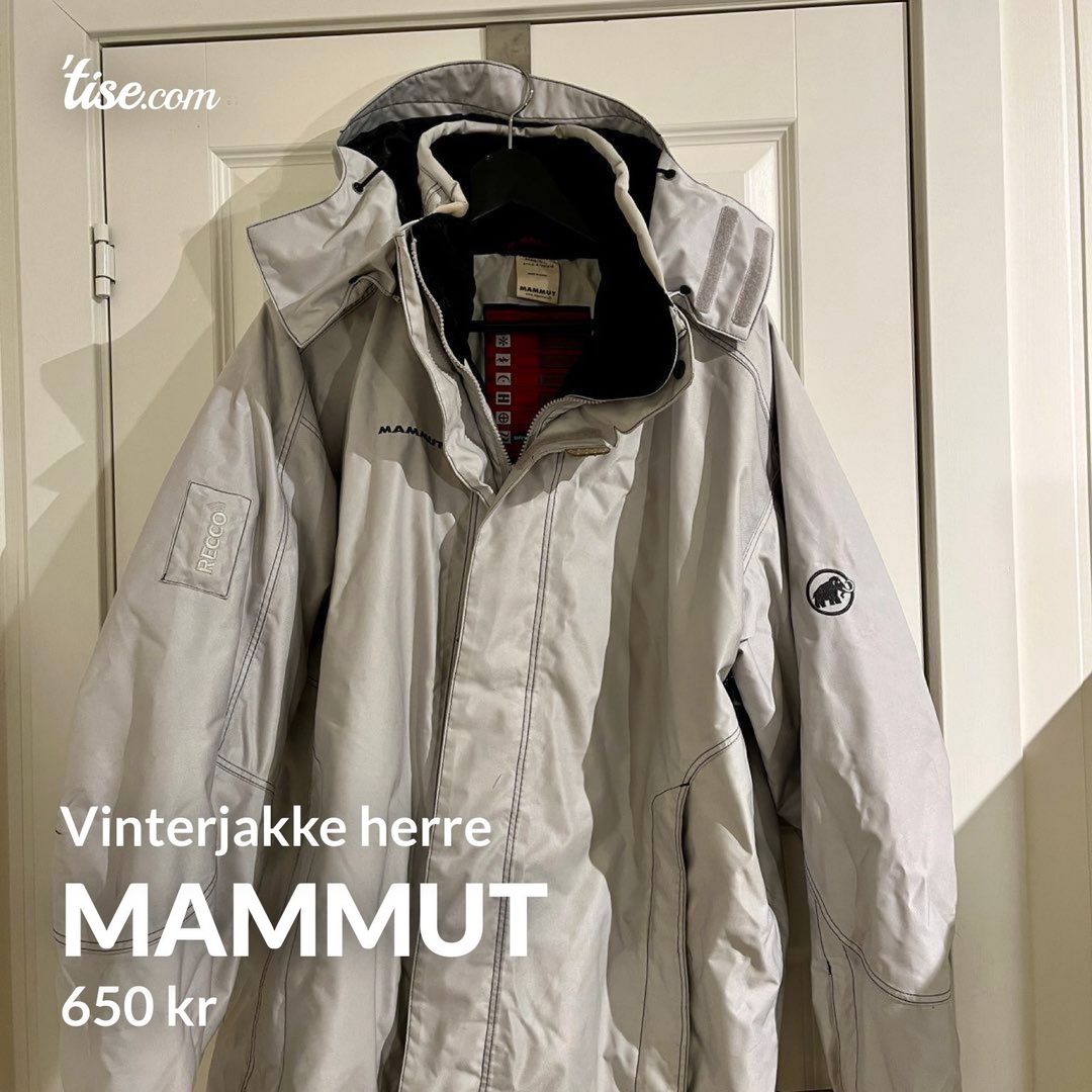 Mammut