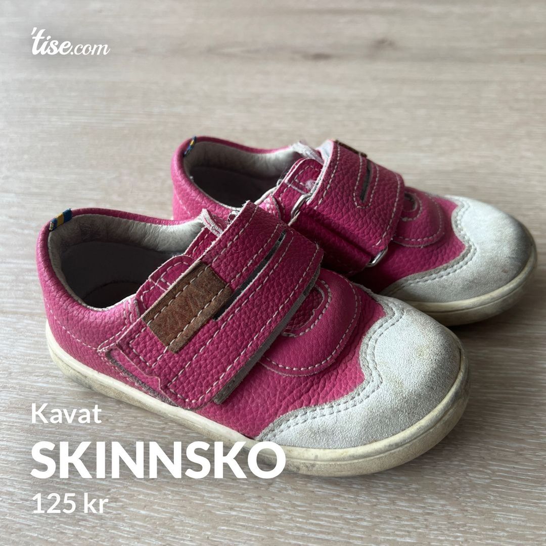 Skinnsko