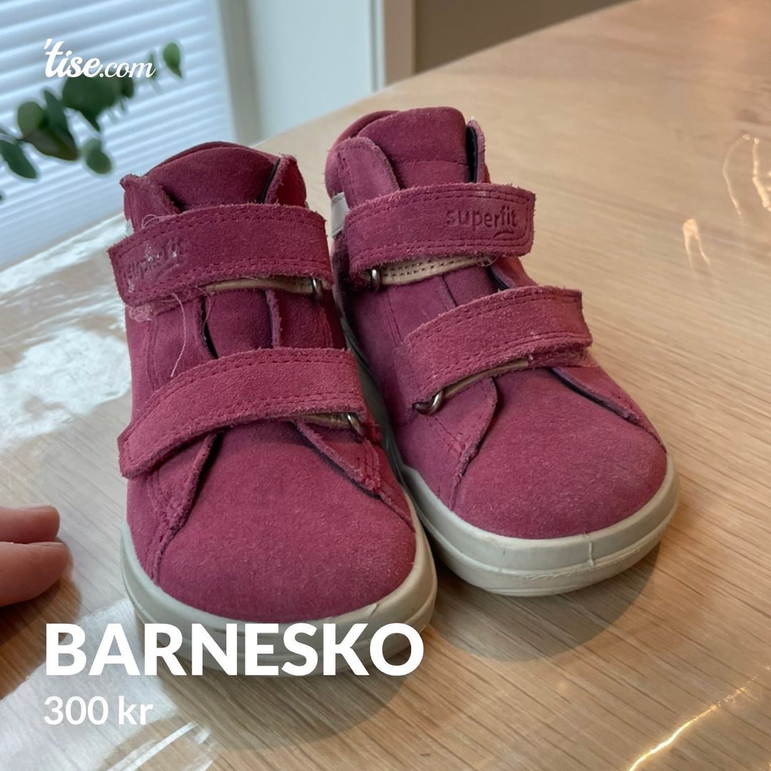 Barnesko