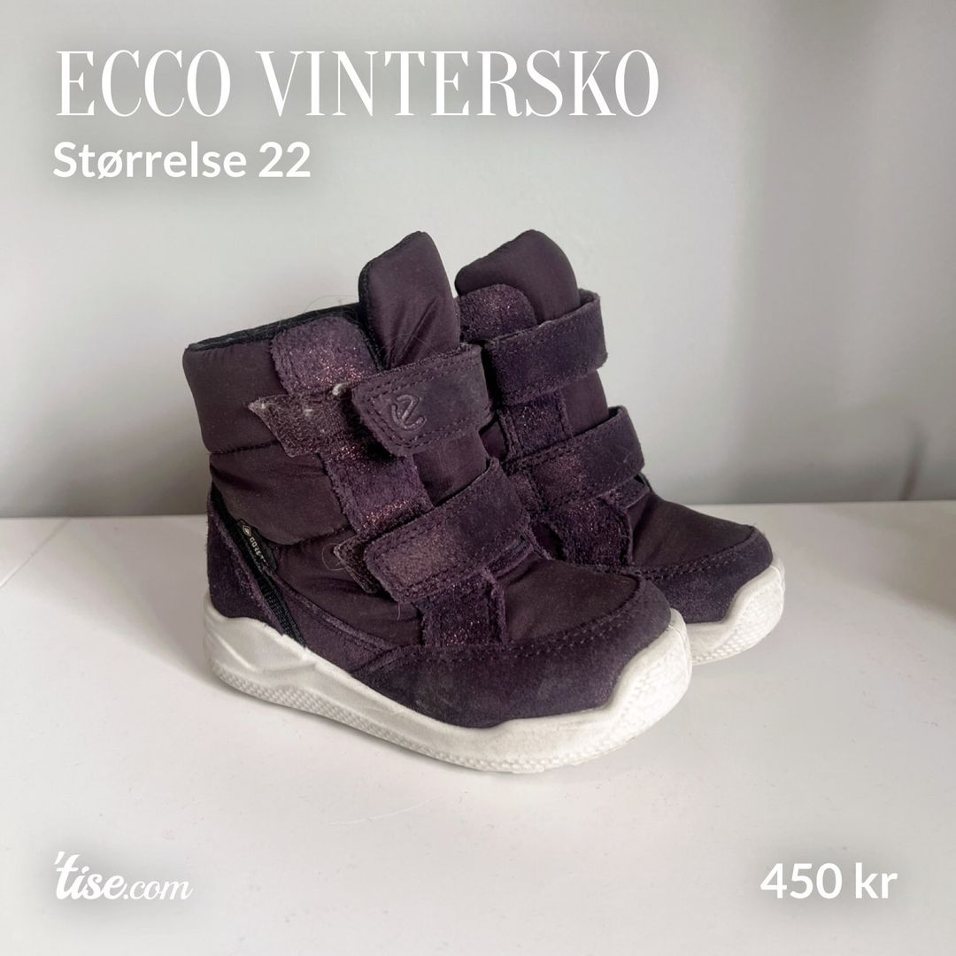 Ecco vintersko