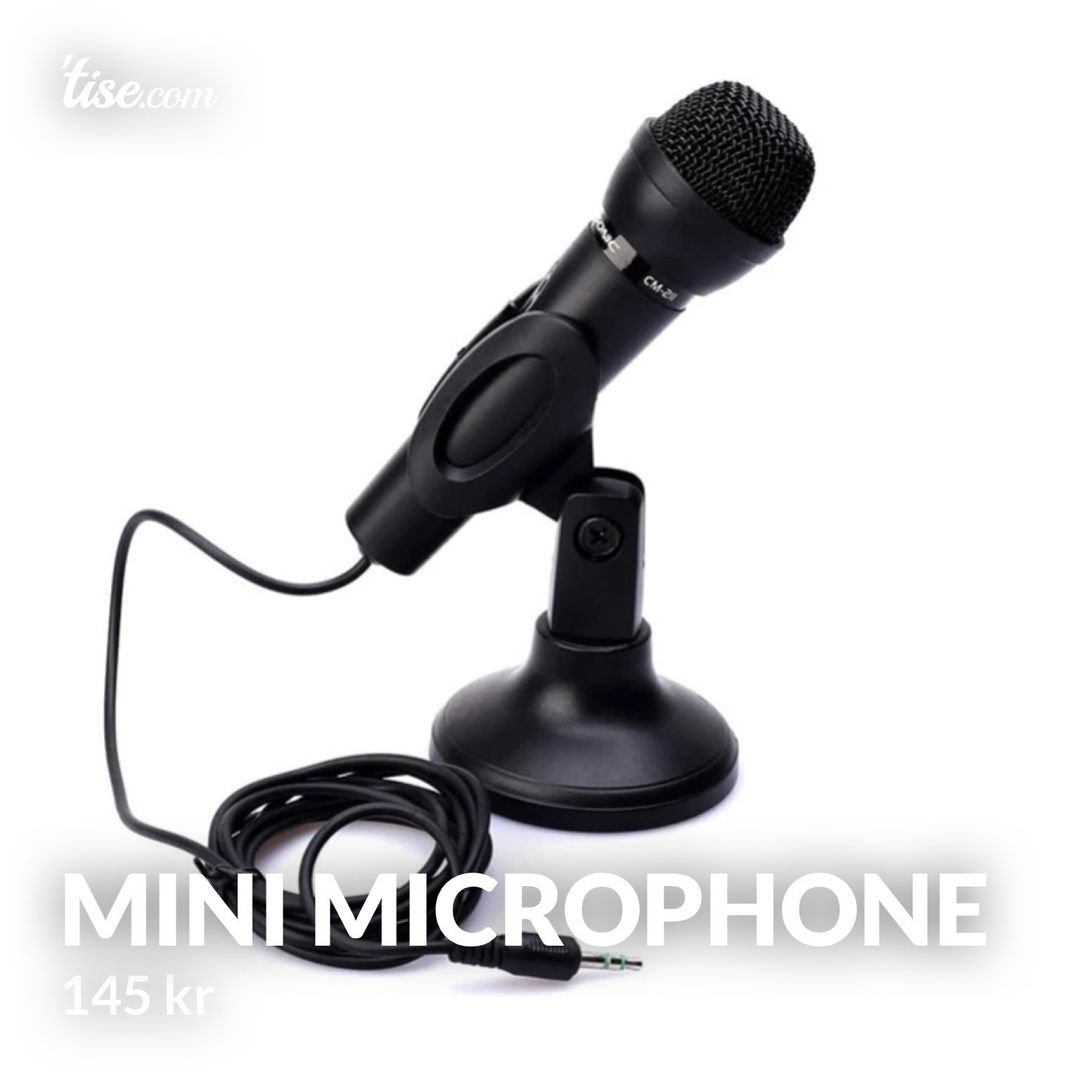 Mini Microphone