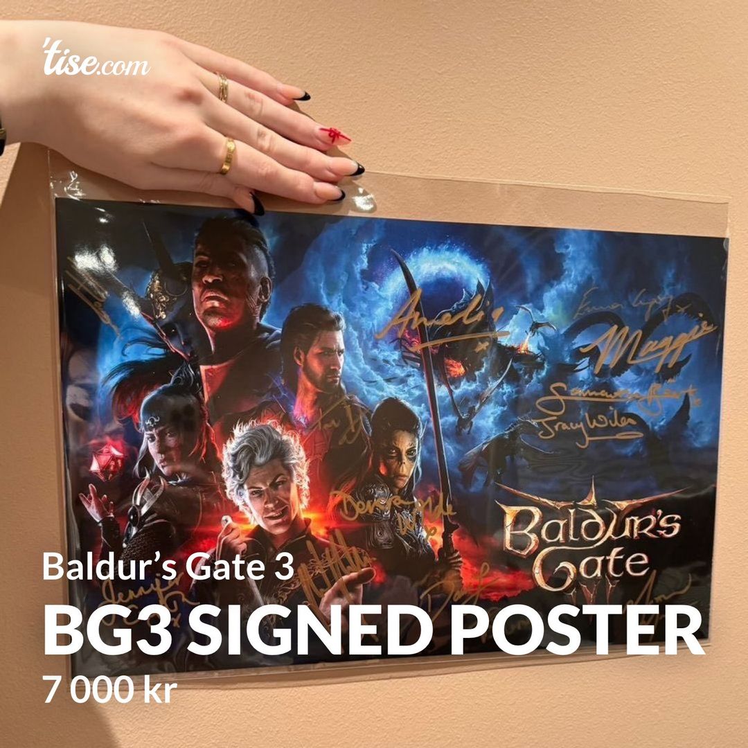 BG3 signed poster