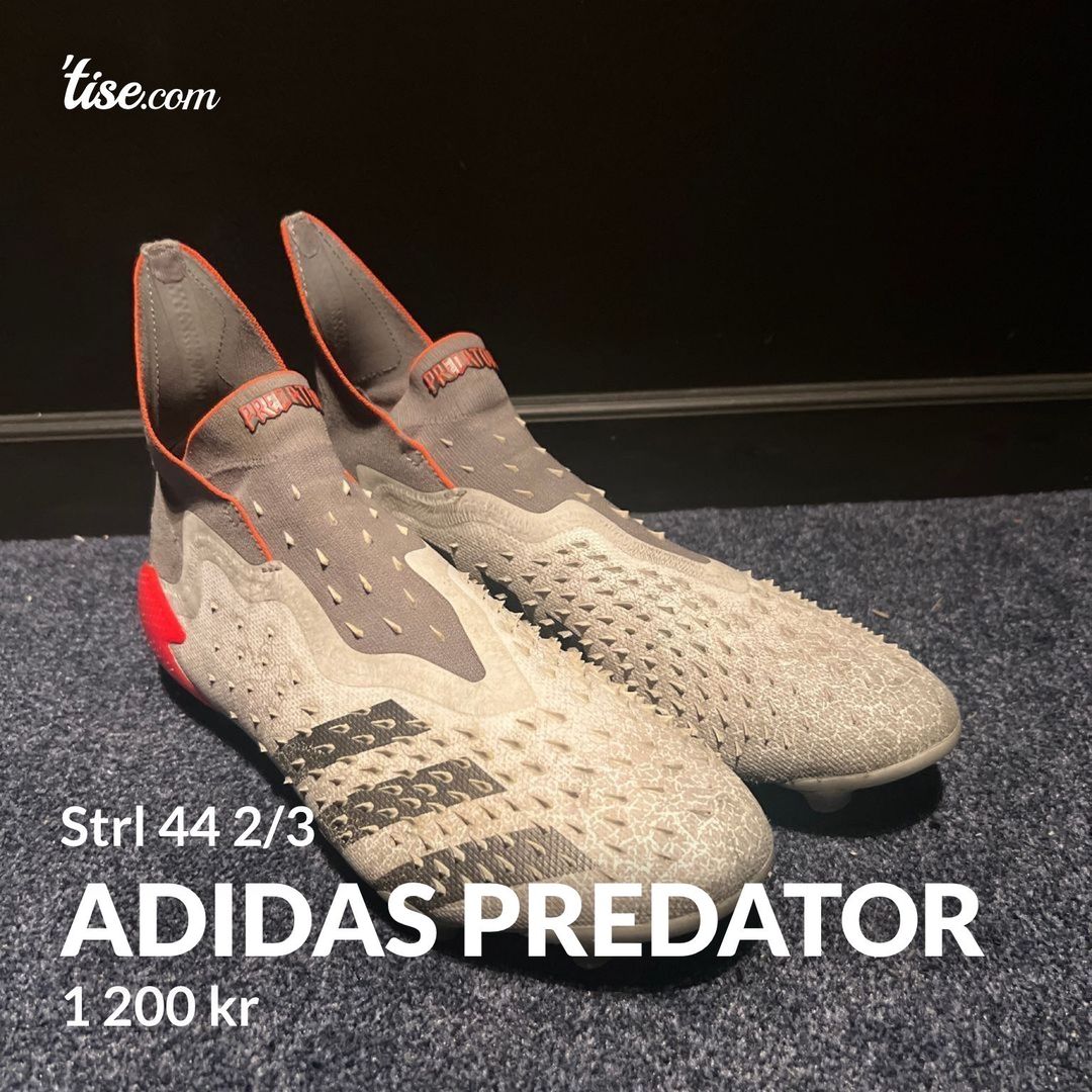 Adidas predator