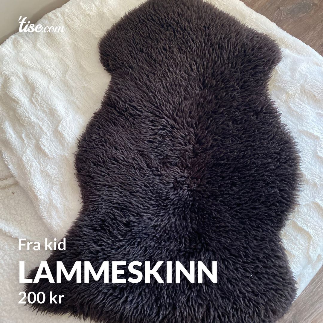 Lammeskinn