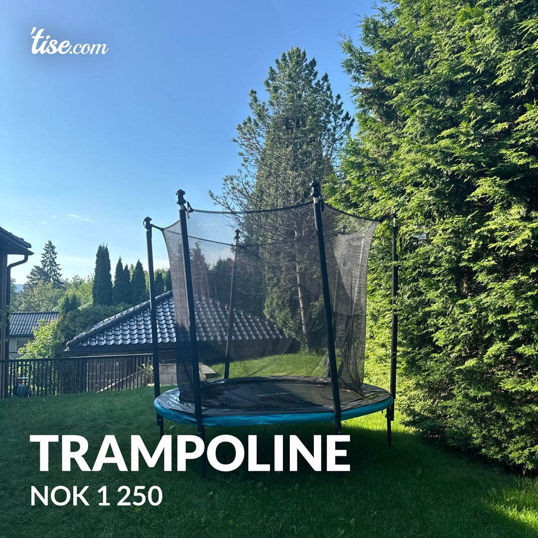 Trampoline