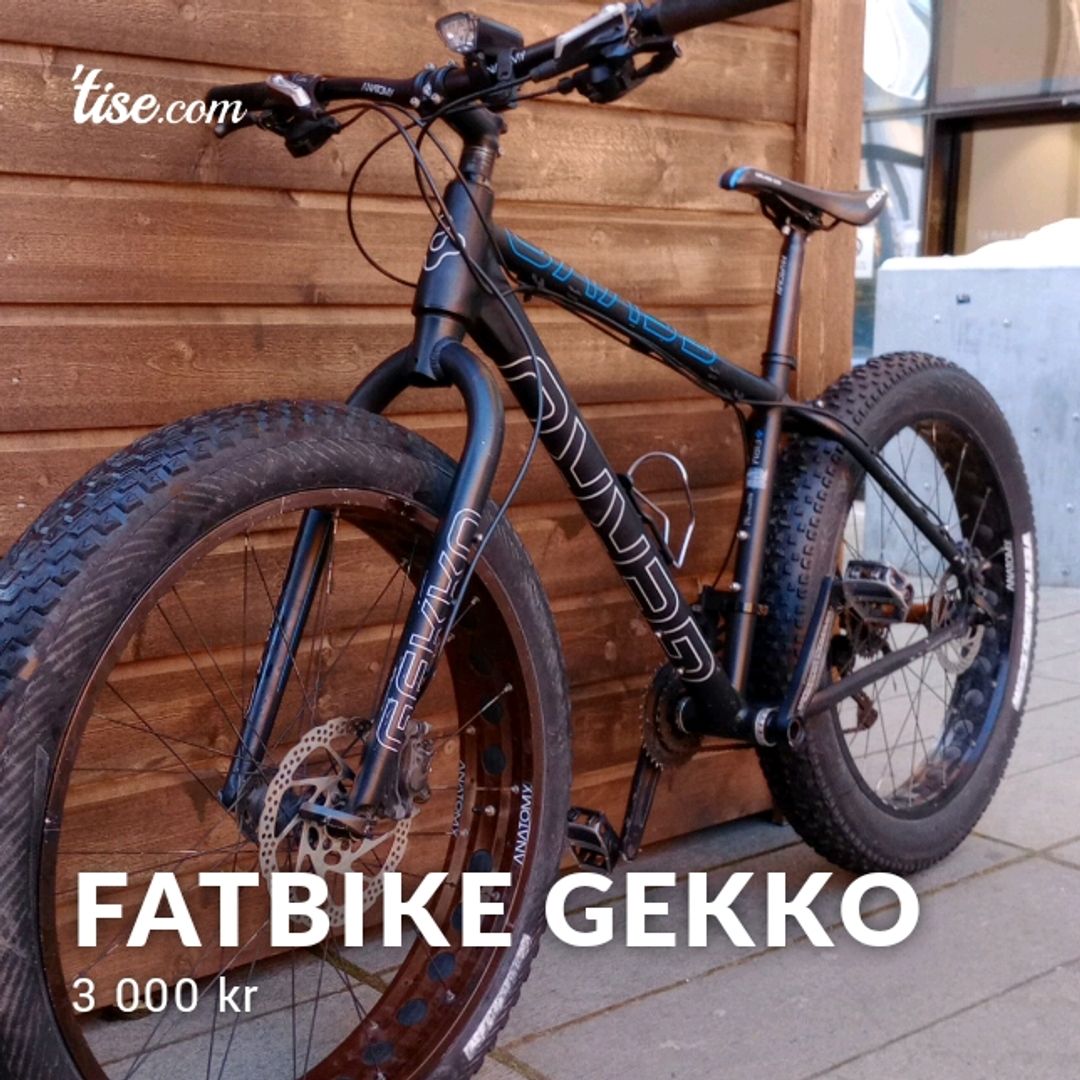 Fatbike Gekko