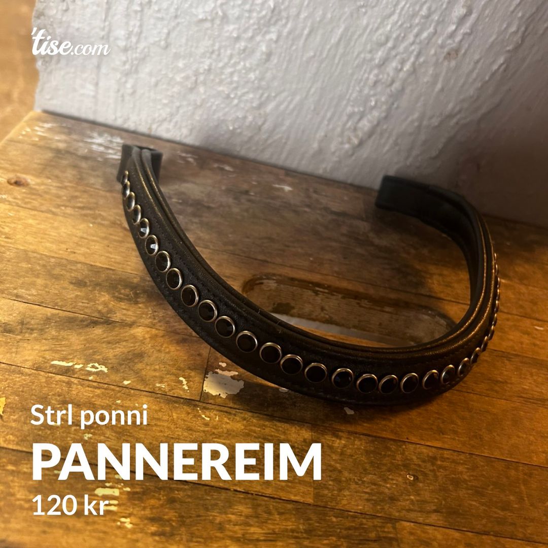 Pannereim