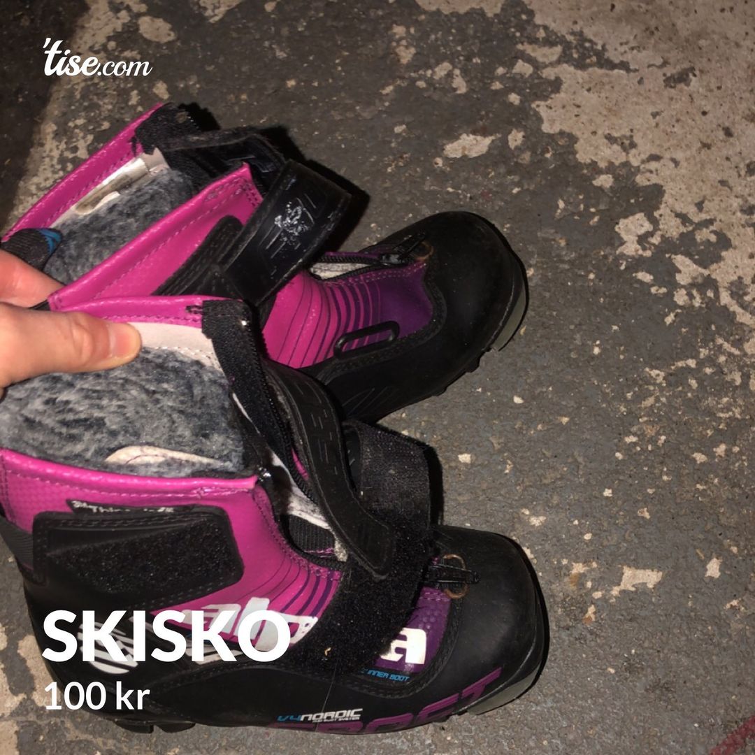 Skisko