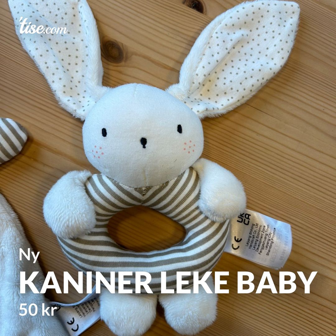 Kaniner leke baby